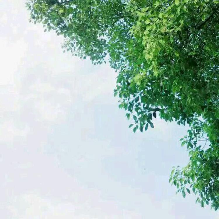 松见真一 - 动画电影国语在线观看 - 云端观看